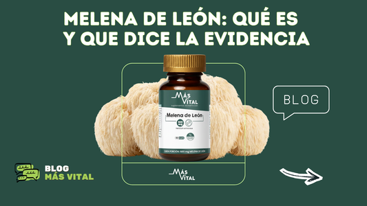 Hongo melena de león: beneficios, dosis y evidencia científica