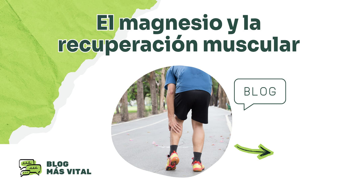 El apoyo del magnesio a la recuperación muscular