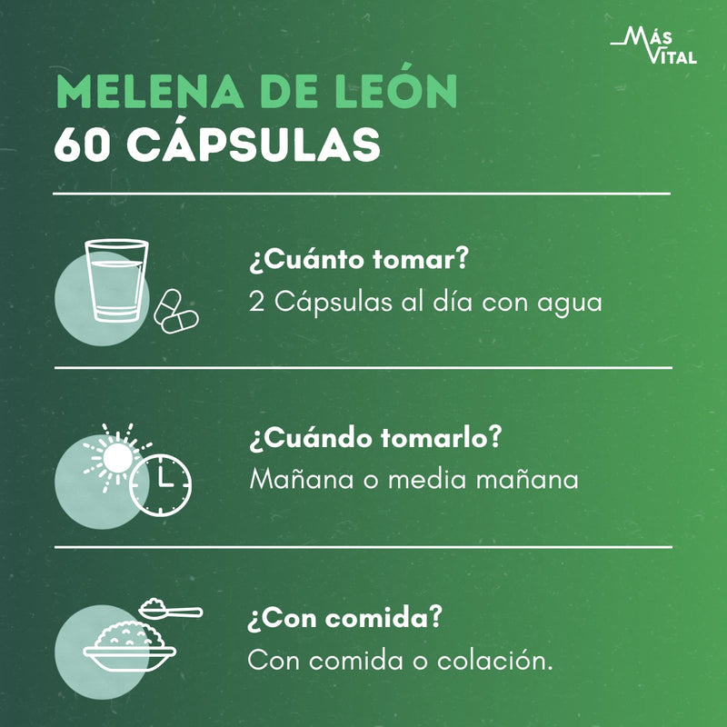 Guía de consumo Melena de León 60 cápsulas: tomar 2 cápsulas al día con agua, en la mañana o media mañana
