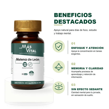 Beneficios de Melena de León Más Vital para enfoque, memoria y claridad mental