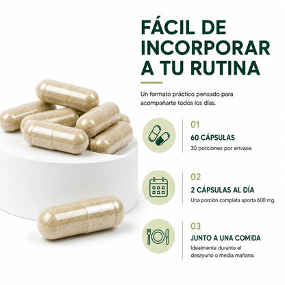 Cápsulas de Melena de León Más Vital, 60 cápsulas y 30 porciones por envase