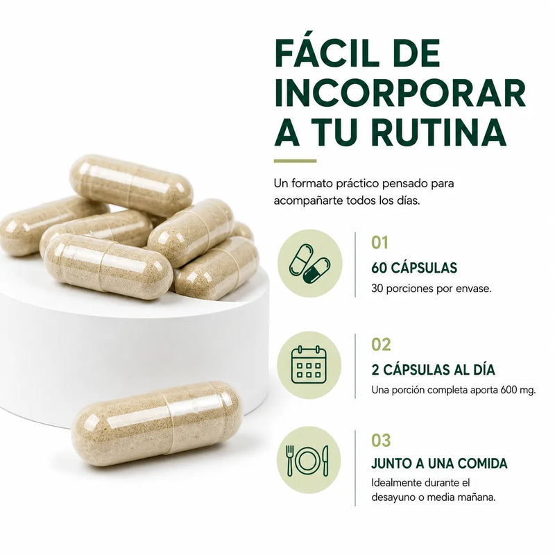 Cápsulas de Melena de León Más Vital, 60 cápsulas y 30 porciones por envase