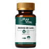 Melena de León 600 mg | 60 cápsulas